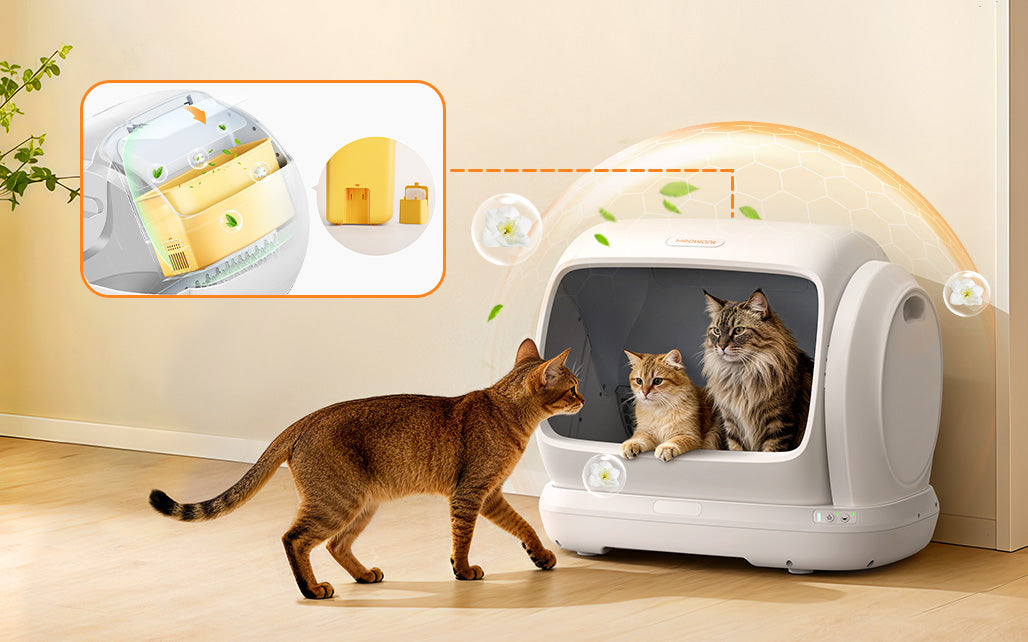 meowant-sc09-review