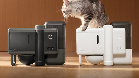 neakasa-riko-pet-feeder