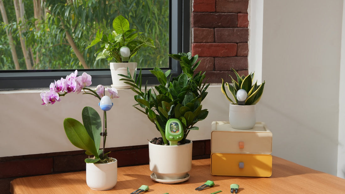 plantsenso-smart-plant-sensor