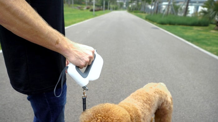 GoGoLeash 4 in 1 Smart Dog Leash (Ready Stock) - Searching C Malaysia